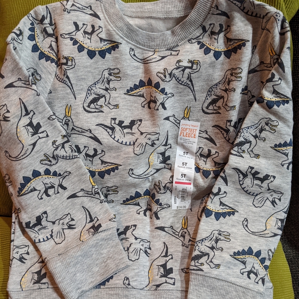 Softest fleece 5T dino crewneck sweatshirt
